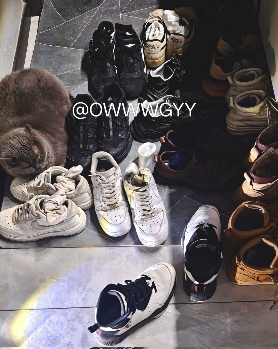 大白鲨---- tweet media