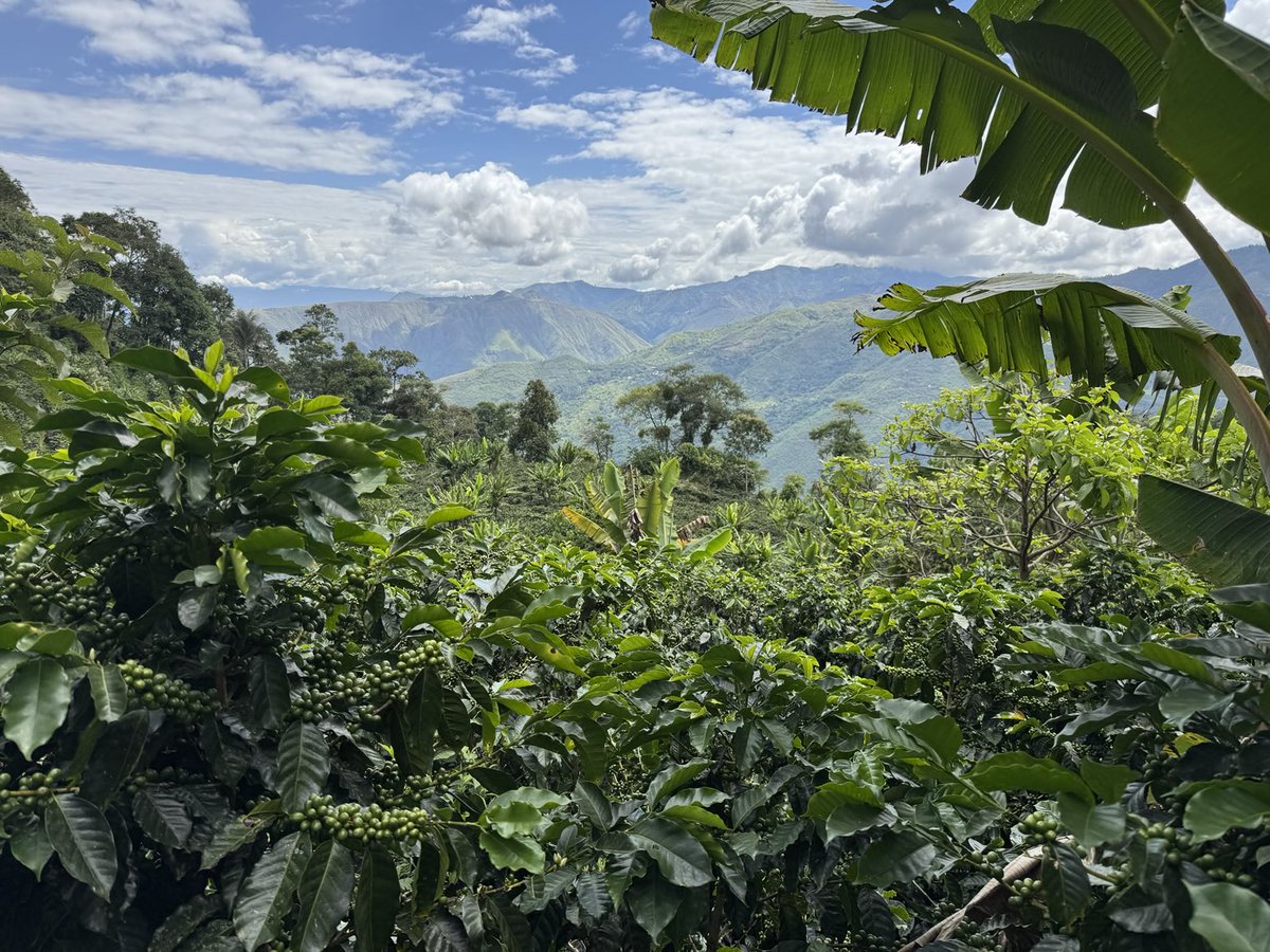 Sam Knowlton tweet media