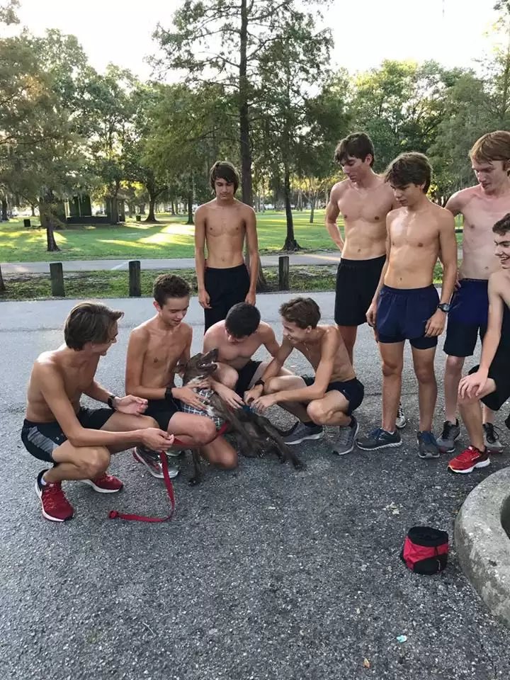 CasuallyTopless's tweet photo. This is what I mean by casually shirtless 🤤 https://t.co/cJtdKRxVrK