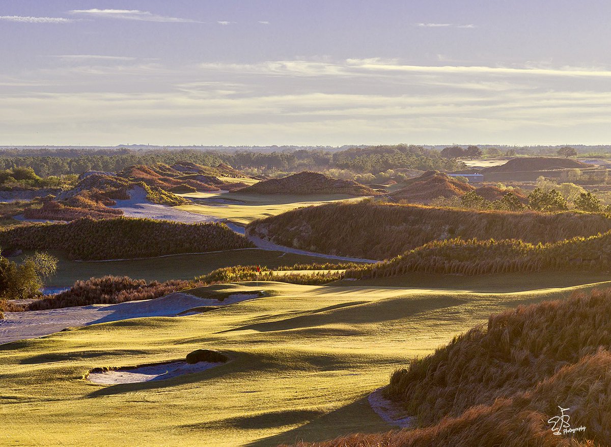 Evan Schiller tweet media