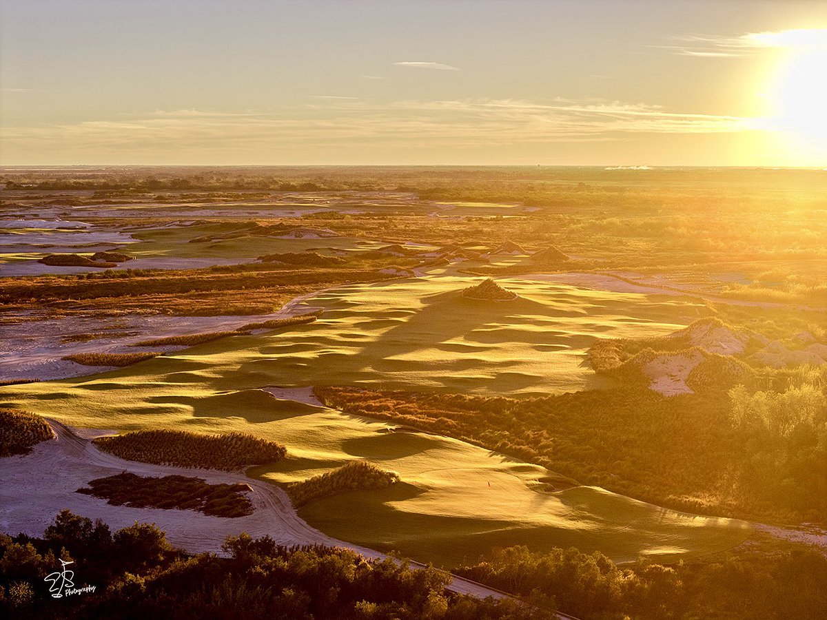 Evan Schiller tweet media