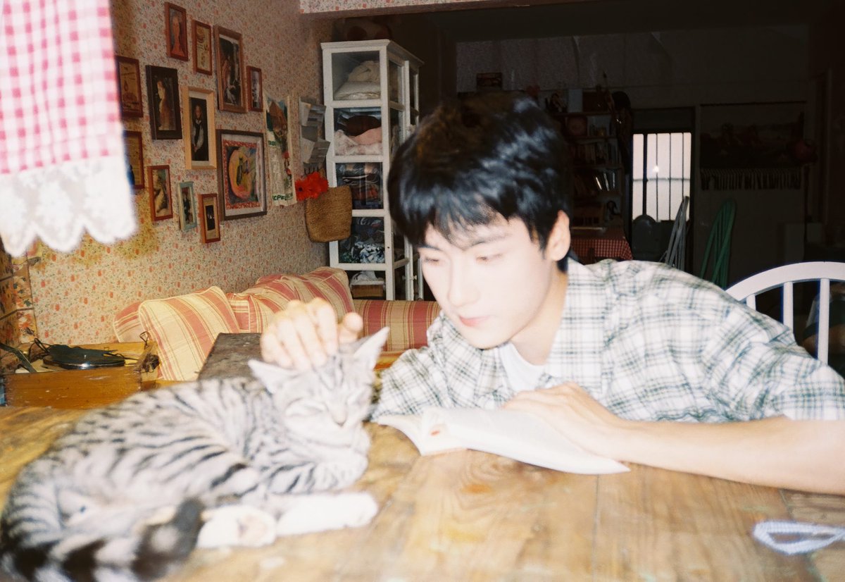 macruvers's tweet image. bian cheng in recent douyin post