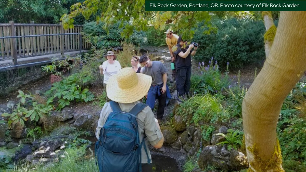 OlmstedNetwork's tweet photo. Last summer marked a significant milestone for the University of Oregon Pacific Northwest Field School program, as they celebrated their 30th anniversary year with an immersive three-week residency at Elk Rock Garden.

Read more in our latest blog post: https://t.co/bGLc54n2FF https://t.co/vH4ElciWLU