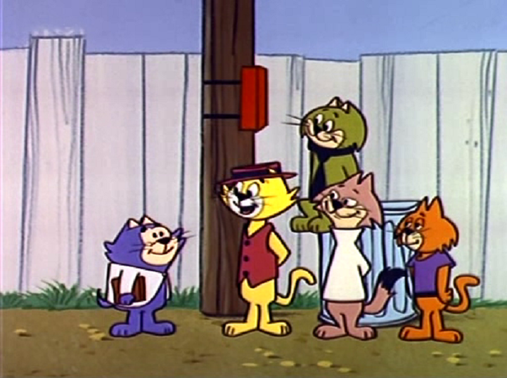 Marcos Arante tweet media