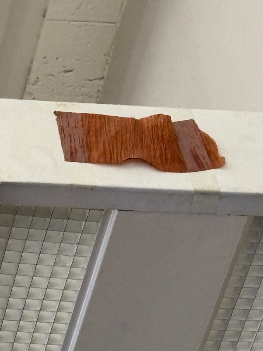 Indiana State Comptroller Elise Nieshalla tweet media