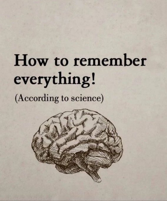 mindfulmaven_'s tweet photo. How to remember everything: https://t.co/nnfLGC1Klc