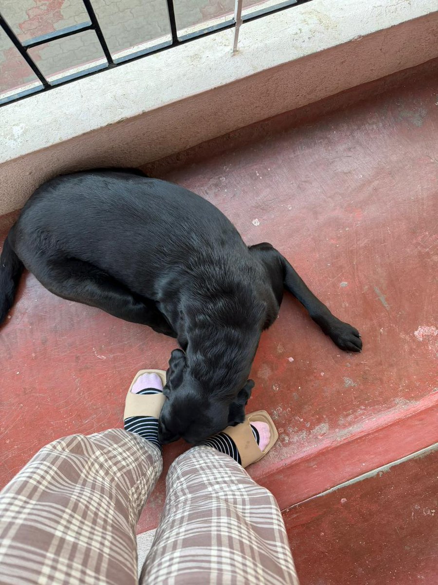 Maahi 🌸 tweet media