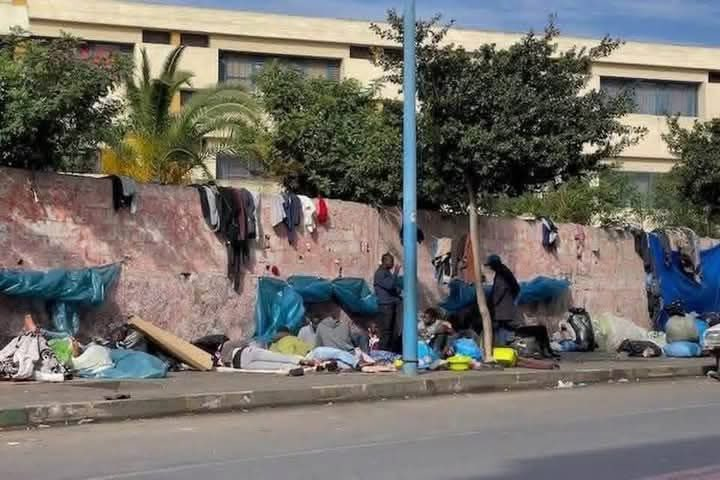 makemororocco's tweet image. Faut qu'ils rentrent chez eux.