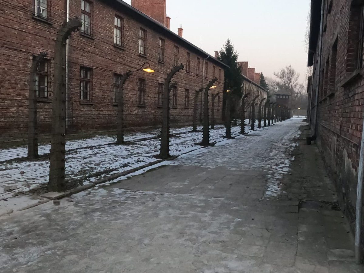 AthVaticana's tweet photo. Viaggio nella Memoria - Auschwitz-Birkenau
Dal 18-20 gennaio Sara Vargetto ha partecipato all'iniziativa del Ministero Sport e i Giovani, insieme a 100 rappresentanti dello sport italiano. Presenti ministro Abodi e presidenti Coni e Cip
Leggi👉https://t.co/IEK0stCFZd https://t.co/JsYWjOiaQY