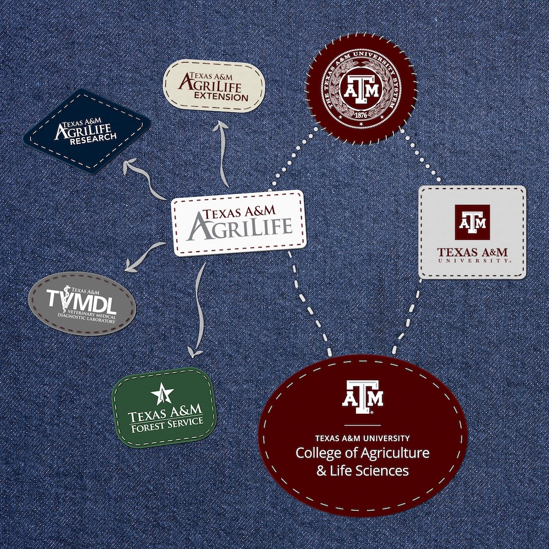 TAMU College of Agriculture & Life Sciences 👍 tweet media