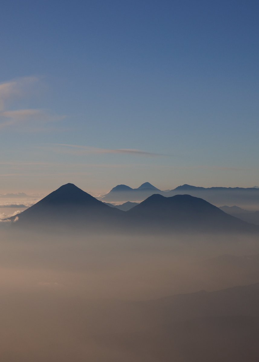 SONO 📸 tweet media