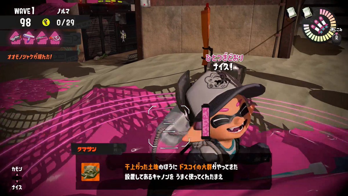 可愛らしいイカちゃんの写真