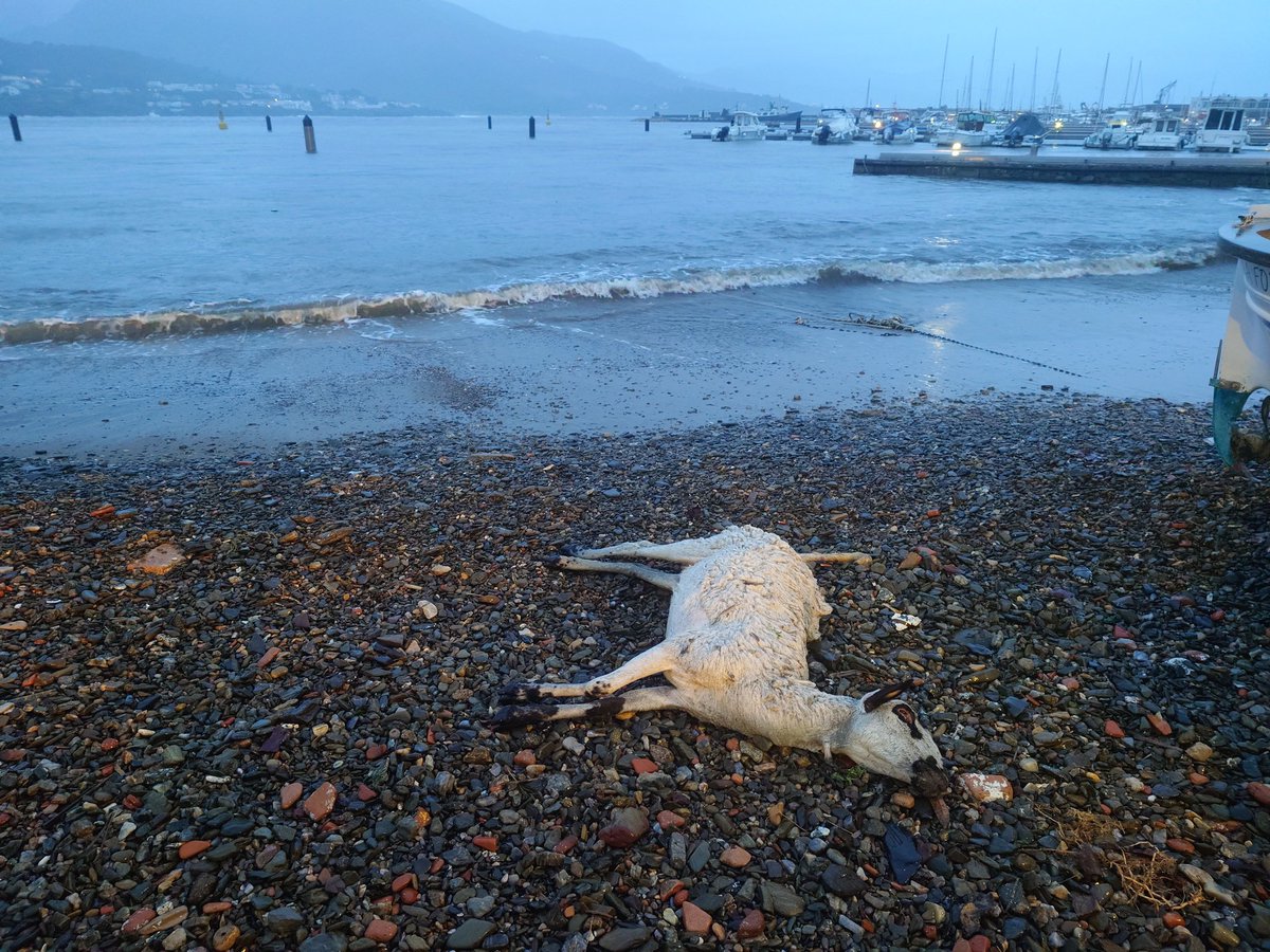 Diuen que el mar sempre ho torna tot.
Doncs val