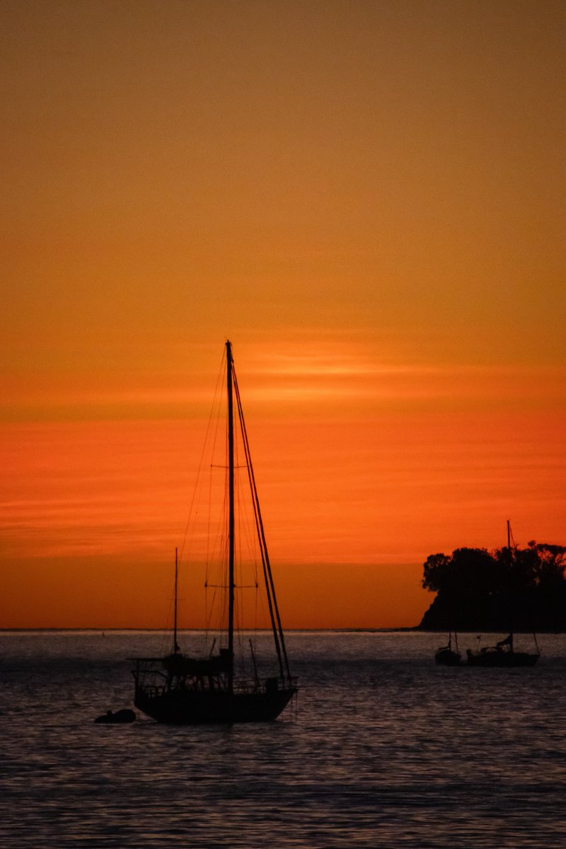 AdmiredArt tweet media