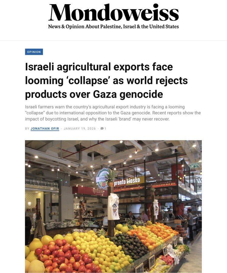 TadhgHickey's tweet image. "What difference will boycotting make?"