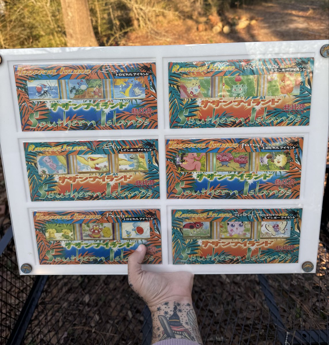 BitterBladeTrad's tweet image. 🧇 Southern Islands Complete Japanese Set

$20 a spot, 50 spots

No limit on spots, claim how many you want in the comments!

Winner decided by wheel of death! 

Retweet for a chance at a free spot!

Payment not due until full!