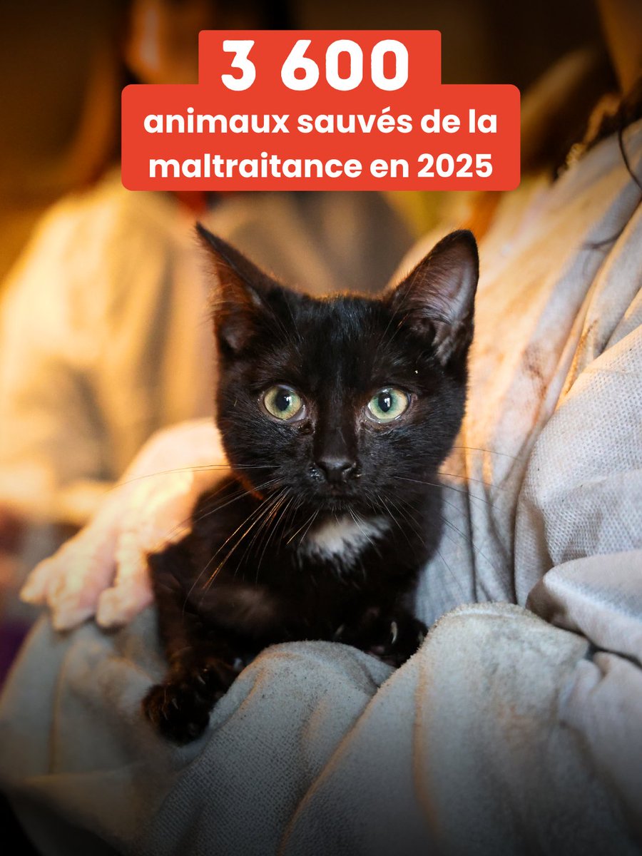 La SPA France tweet media