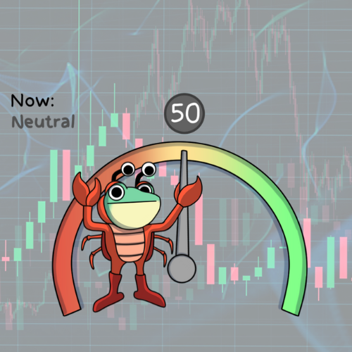 Tallys 🐸 tweet media