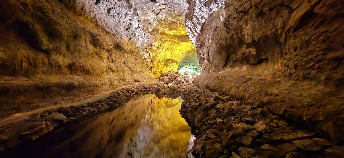 JOHN McMILLAN tweet media