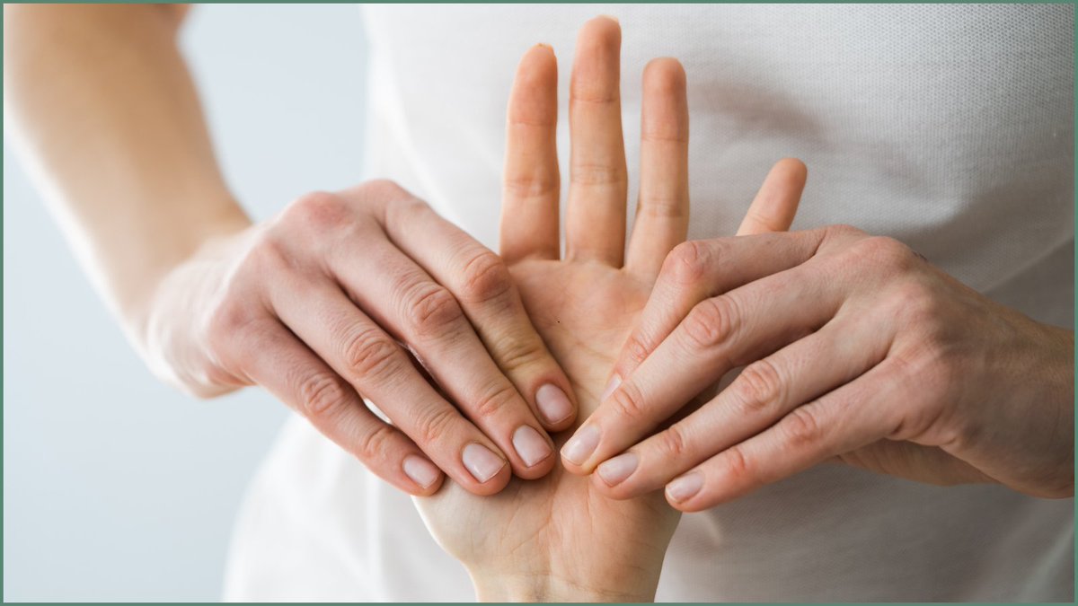 TheMTFoundation tweet media