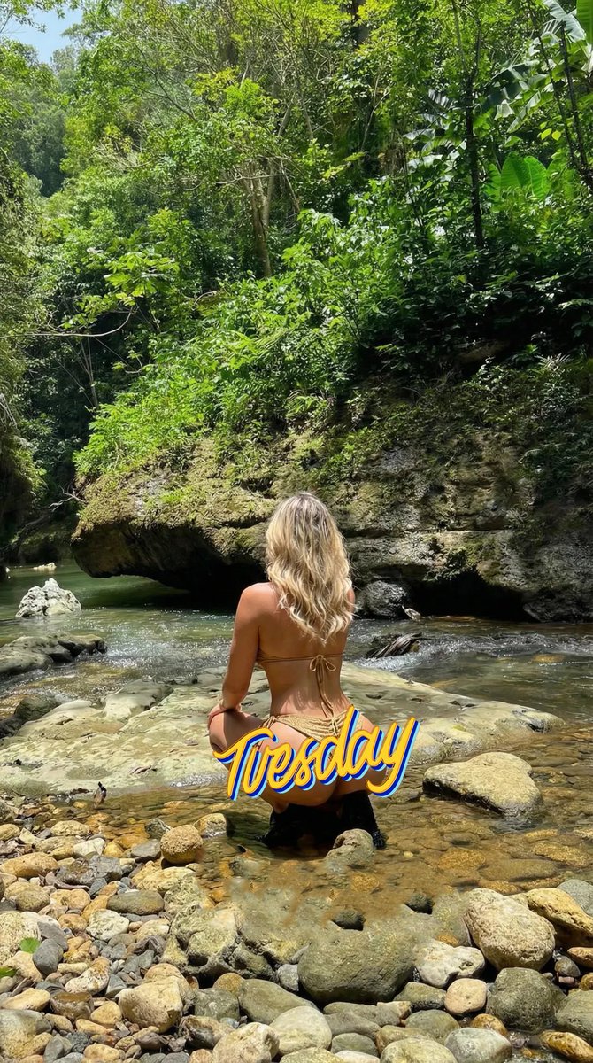 Je donnerais tout pour revenir cet été.. mes cheveux 🥹