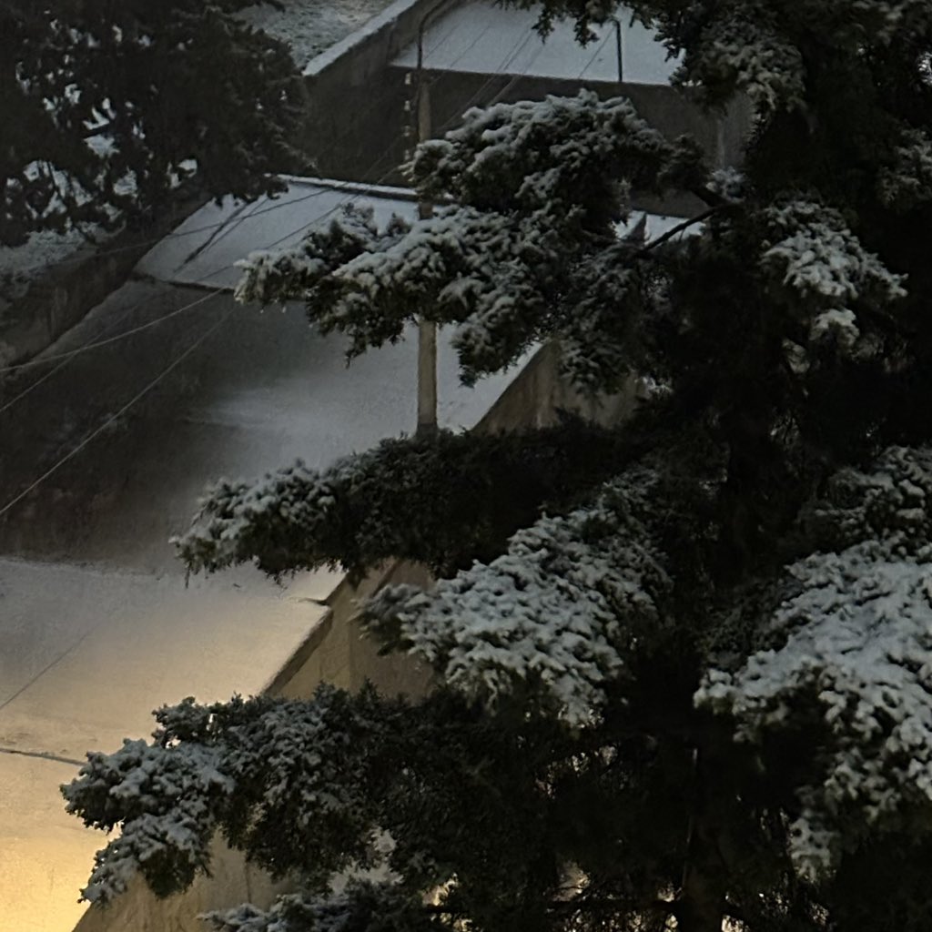 noidff's tweet image. 200126