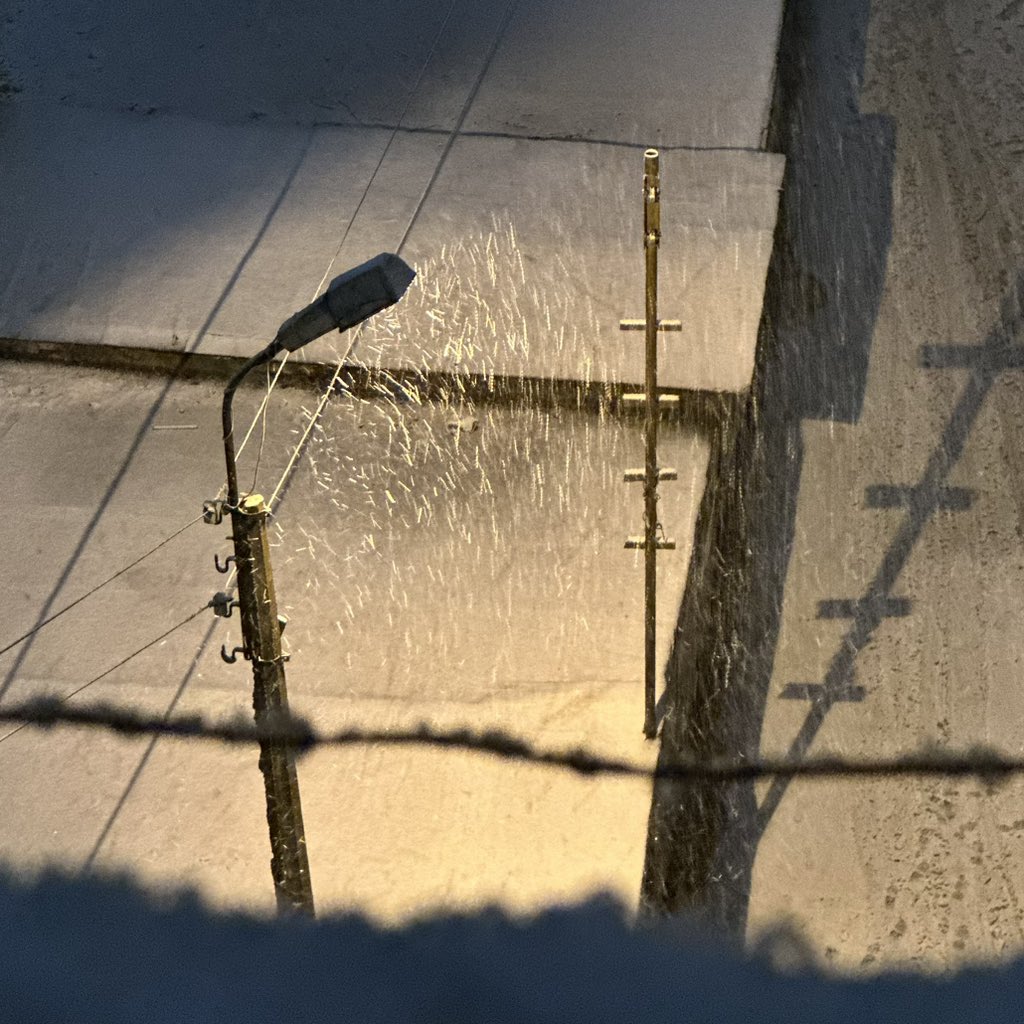 noidff's tweet image. 200126