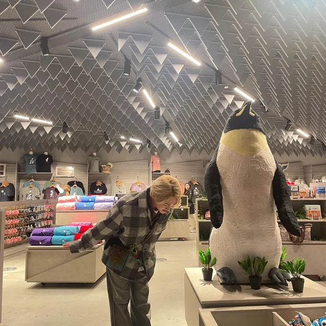 mnmspet's tweet photo. It's Penguin Appreciation Day in the U.S. so...#SHINee #ONEW #ONEW_THE_LIVE https://t.co/ZGrTFRWwl4