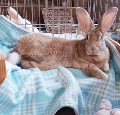 ttas's tweet image. Happy Tuesday from Duncan! Wishing everyone a relaxing day.