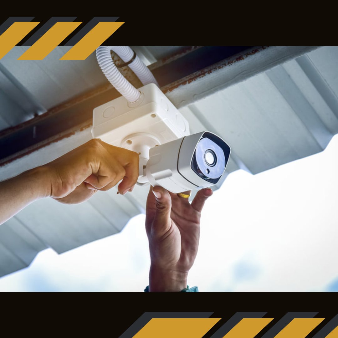 Inglorious Protection Services tweet media