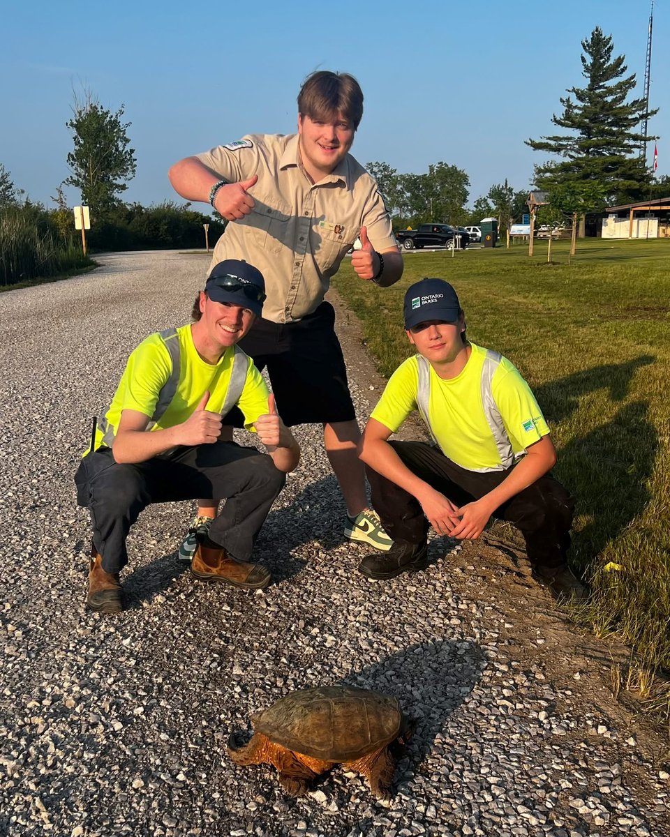 Turkey Point PP tweet media