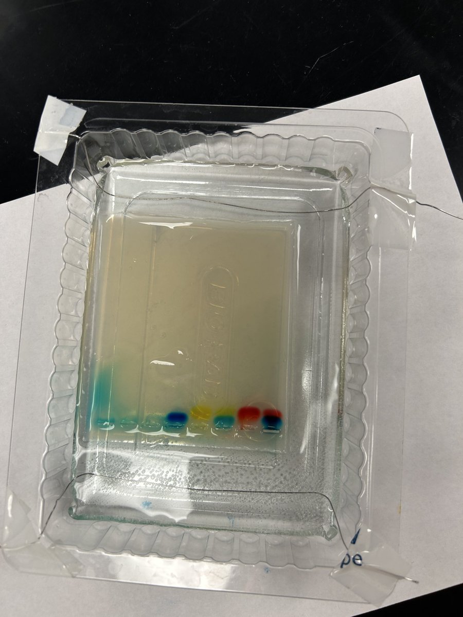 Amanda McCready tweet media