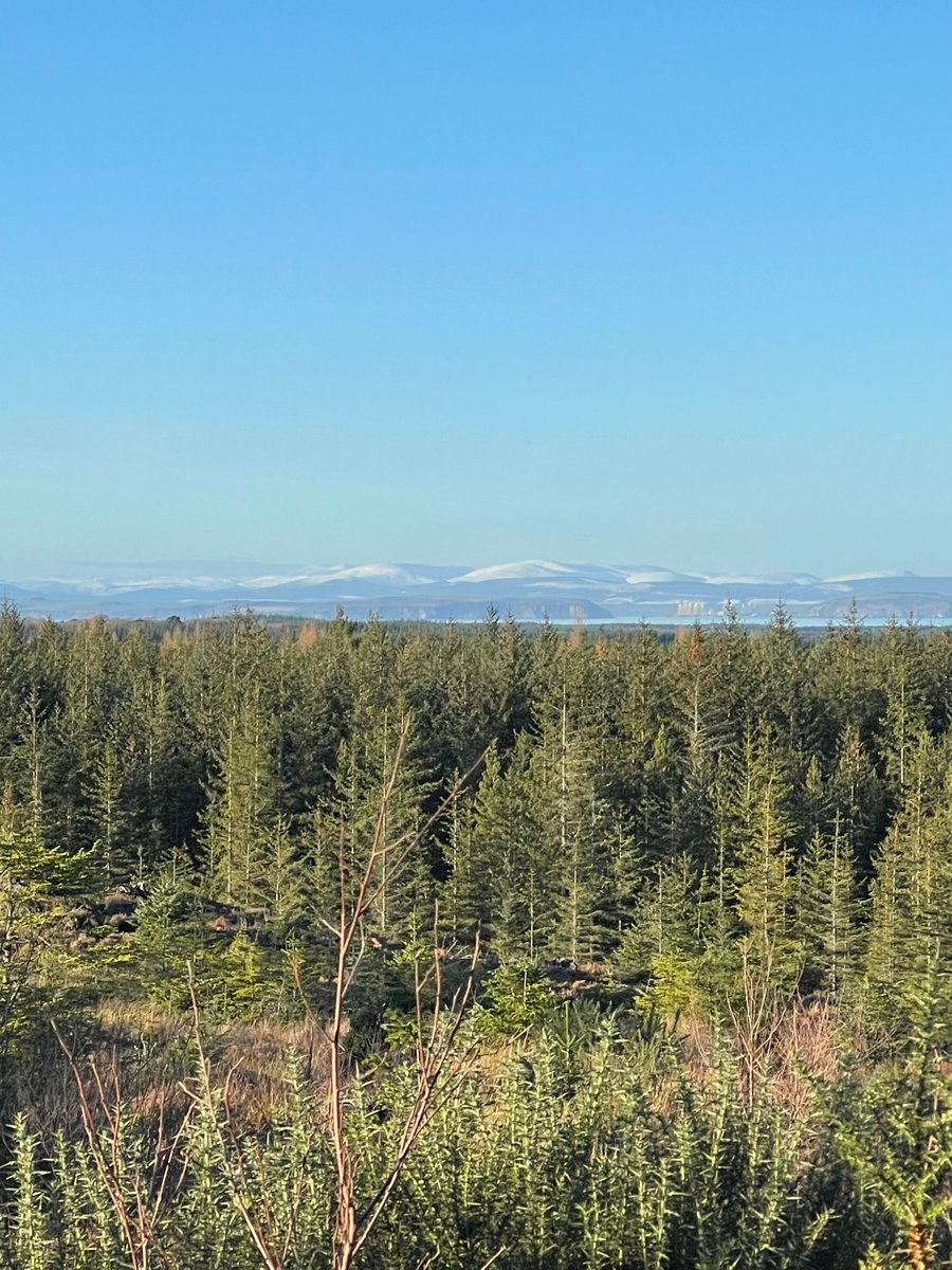 Quiet mornings. Fresh air. Space to breathe.
Sundays at Blervie House are made for slowing down.

#SlowTravel #SundayInScotland