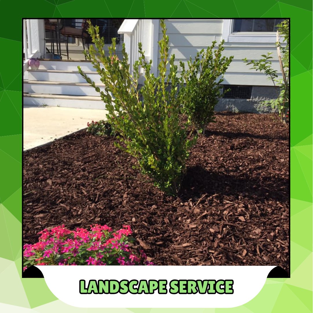 salawn58302's tweet image. What’s better than a well-kept yard? One that’s stress-free for you! Our landscape services take care of the dirty work so you can enjoy the results. Let’s turn your yard into your favorite place—contact us today! #LandscapeService
panamacitylandscaper.com/about