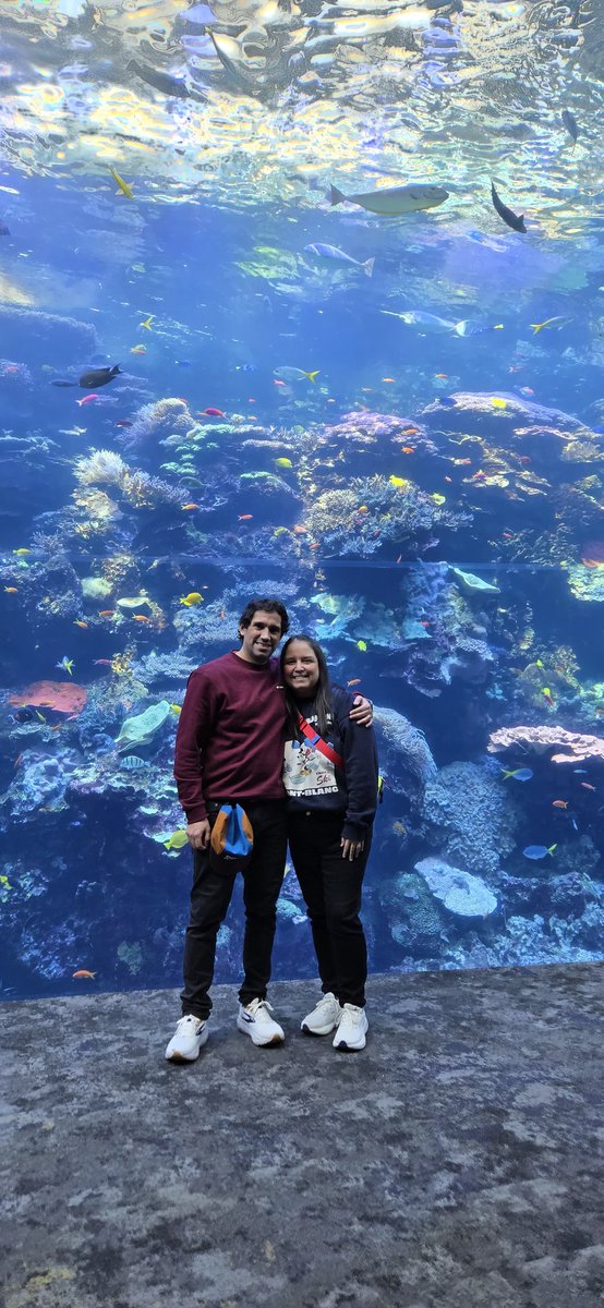 Pauly Espinoza tweet media