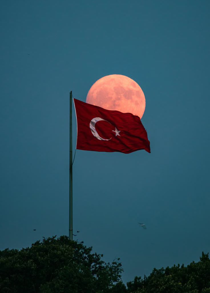 BAYRAK NAMUSTUR! 🇹🇷