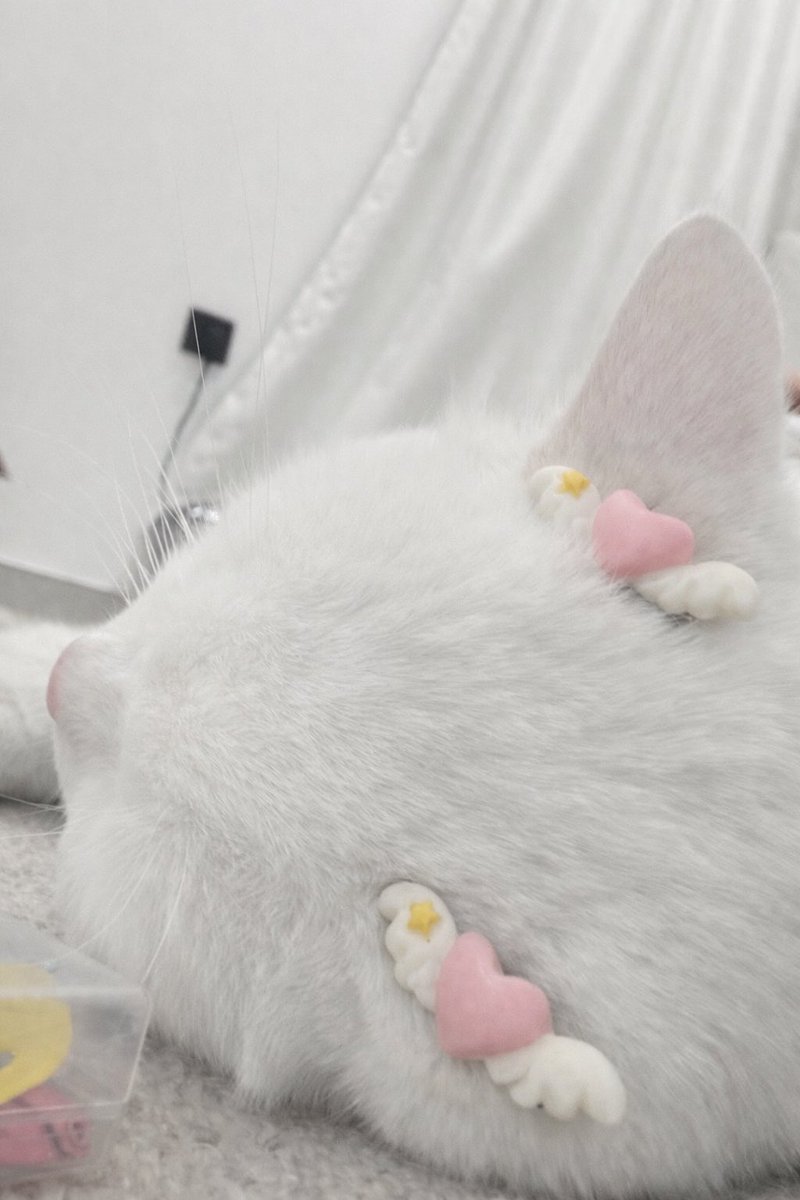 dcrius_'s tweet image. 😝😝