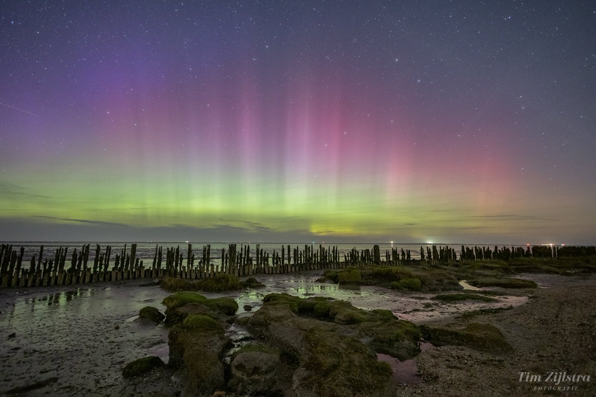 Tim Zijlstra tweet media