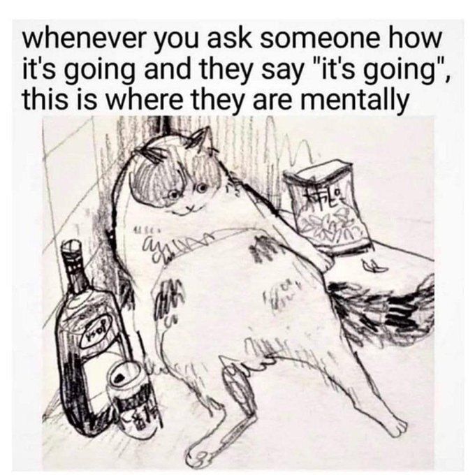 coolcatsociety's tweet image. 