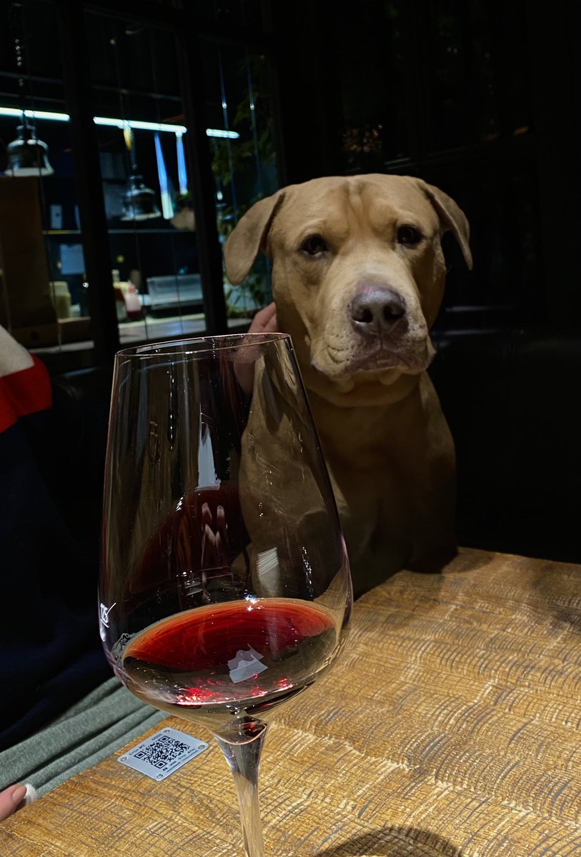 Михайло покликав бахнути трохи чилійського червоного, але дізнався, що я на тверезому