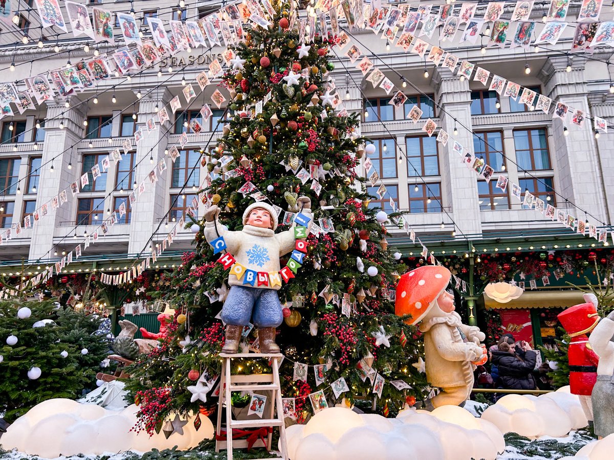 саша олямри tweet media