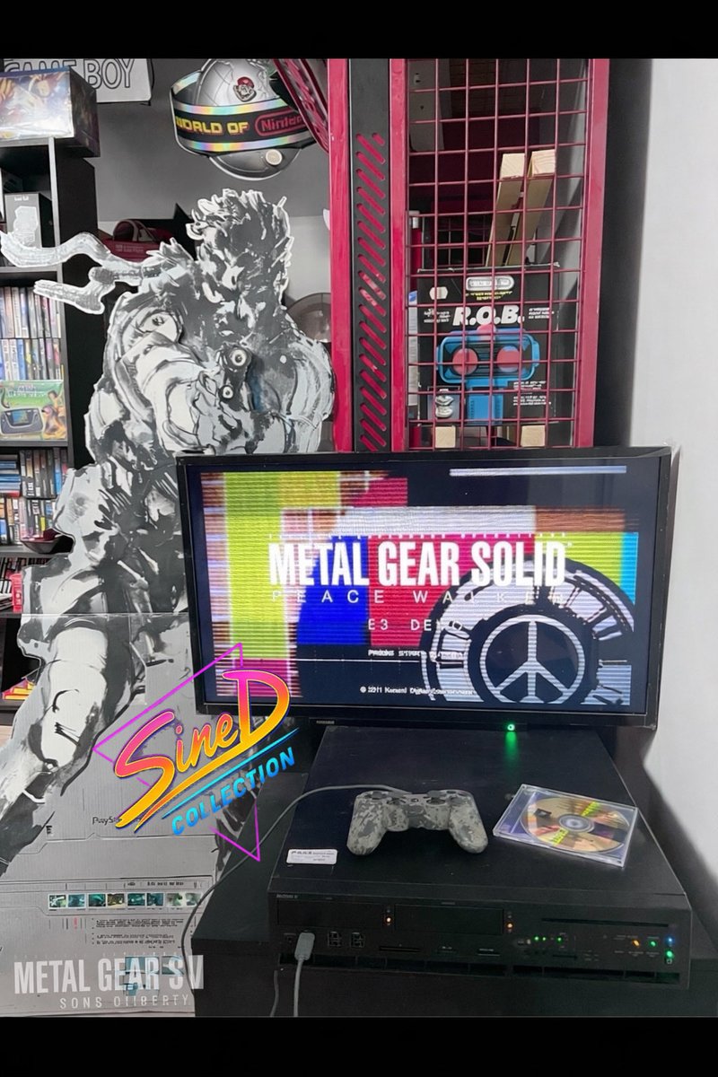 Sined Collection tweet media