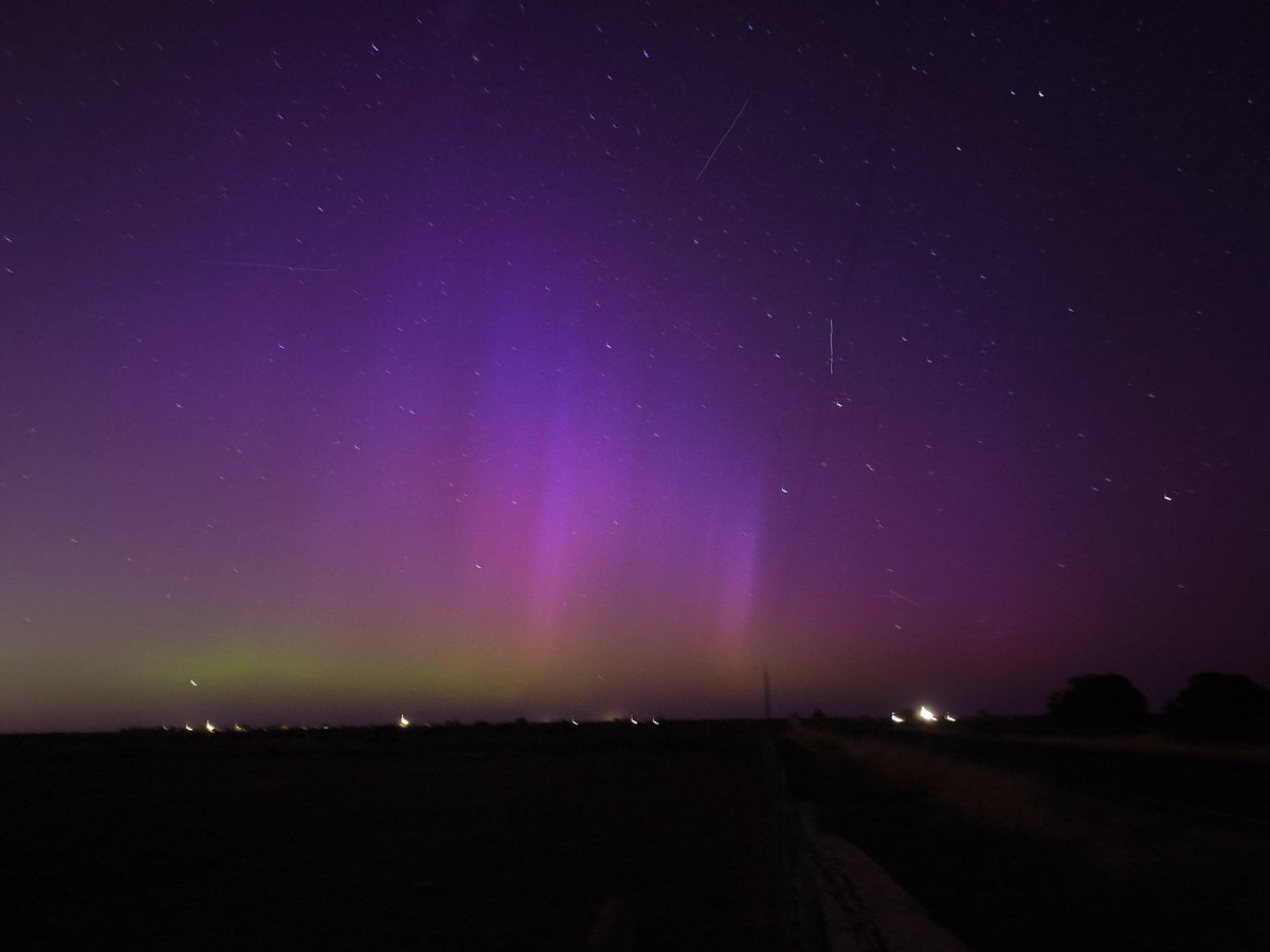 🐾 Shepsky tweet media