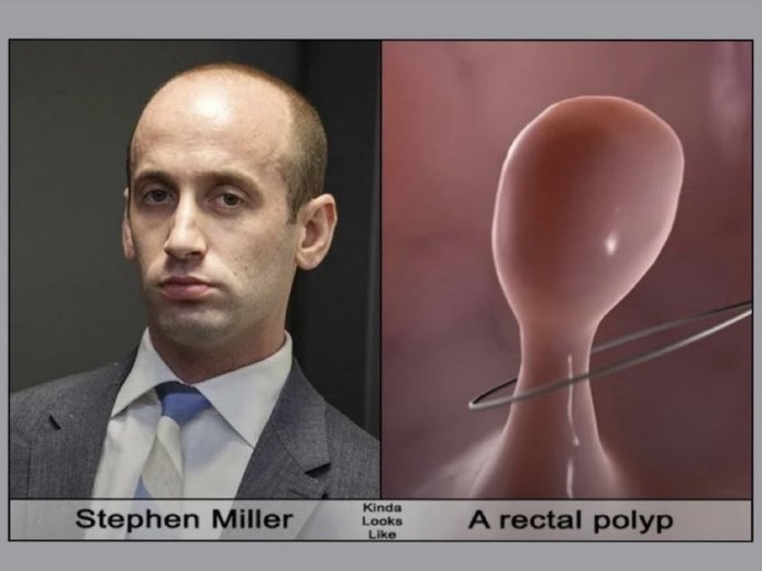 <a href="/highbrow_nobrow/">The Intellectualist</a> <a href="/atrupar/">Aaron Rupar</a>