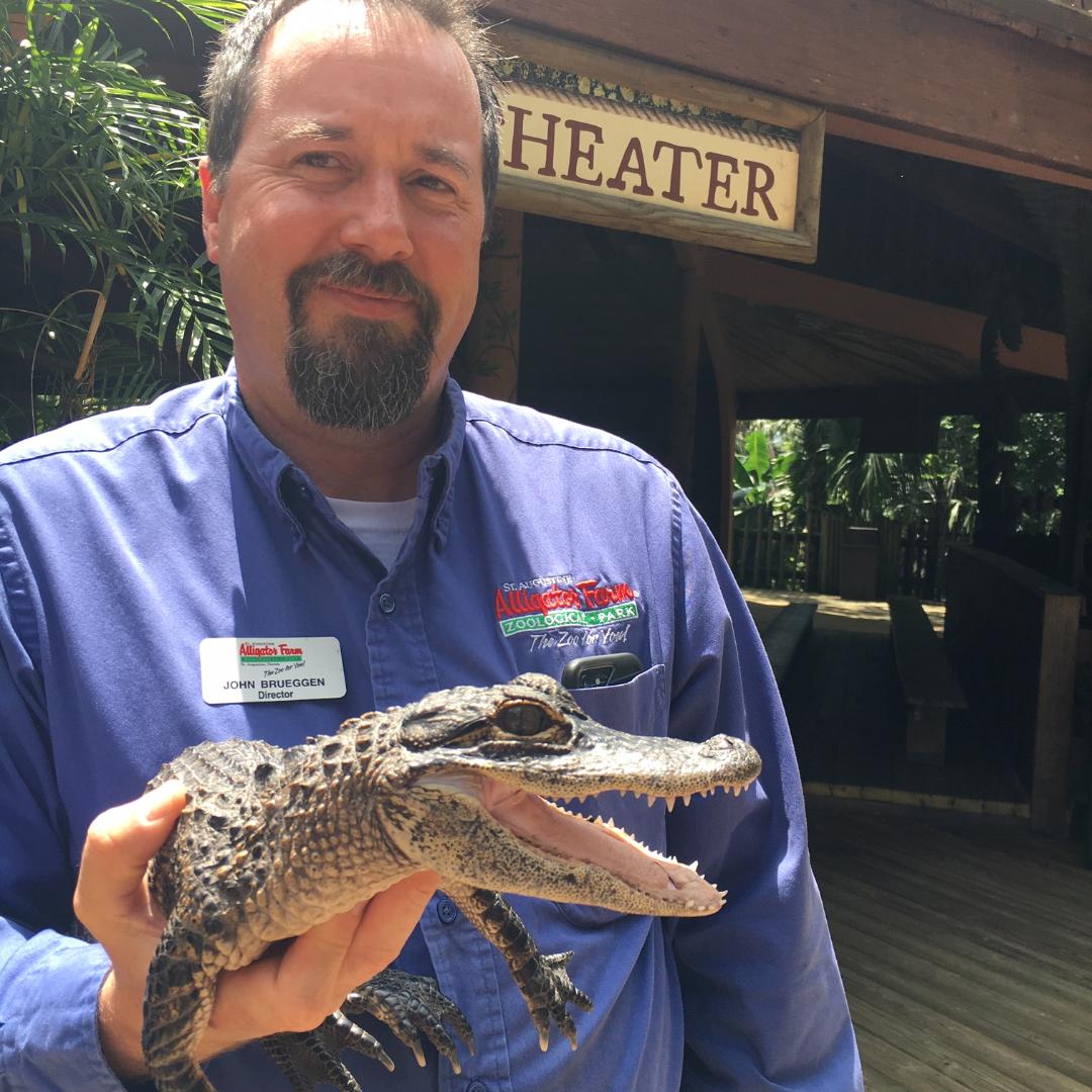 StAugAlligatorFarm tweet media