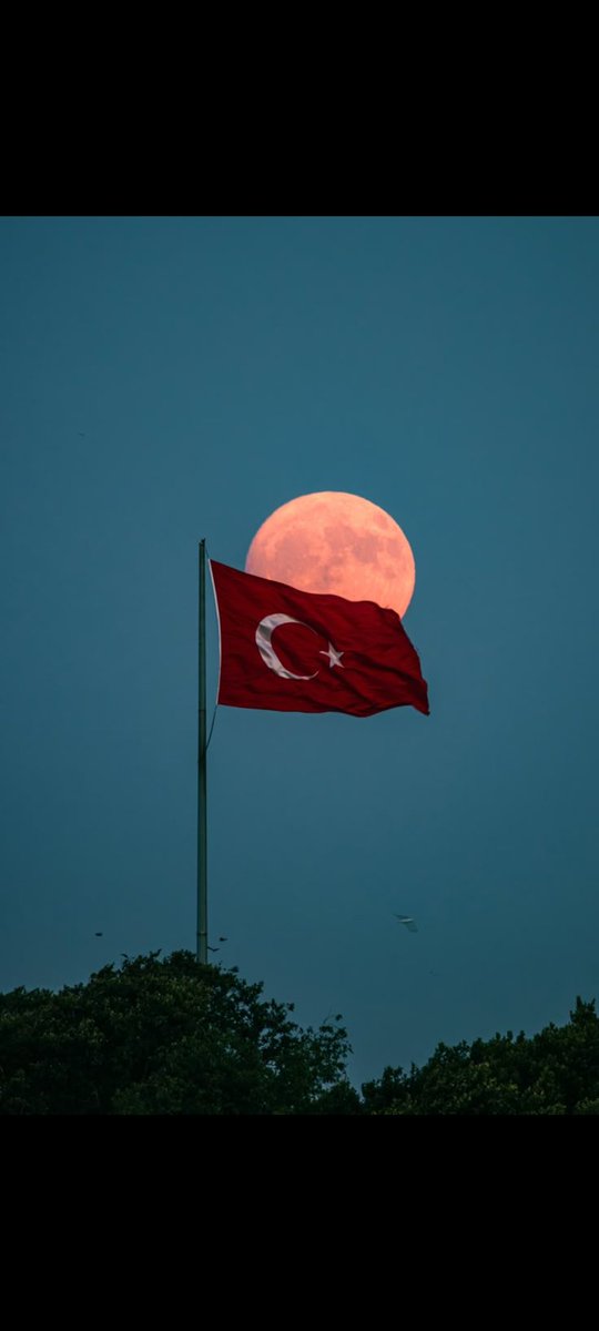 Benim ülkemde yaşayıp benim bayrağımı yakanın aldığı nefes bile haramdır.
#TürkBayrağı 🇹🇷🇹🇷🇹🇷🇹🇷🇹🇷