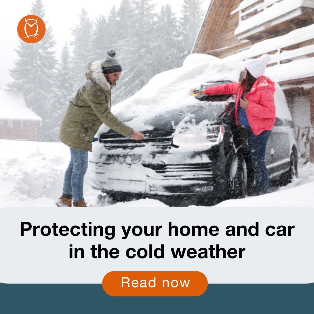 Horace Mann tweet media