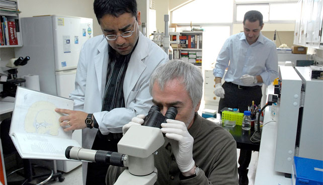 Descubren que el gen de “La viveza criolla” en realidad es el gen de “Ser un Mamagüevo” ow.ly/3IW350XZG4t