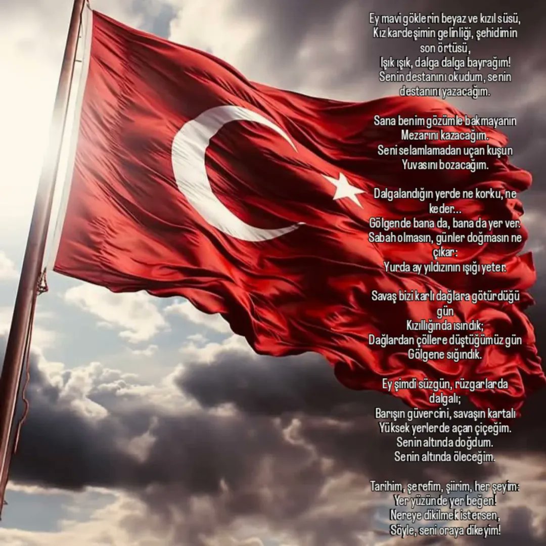 TMSY FETİ TUNCER tweet media