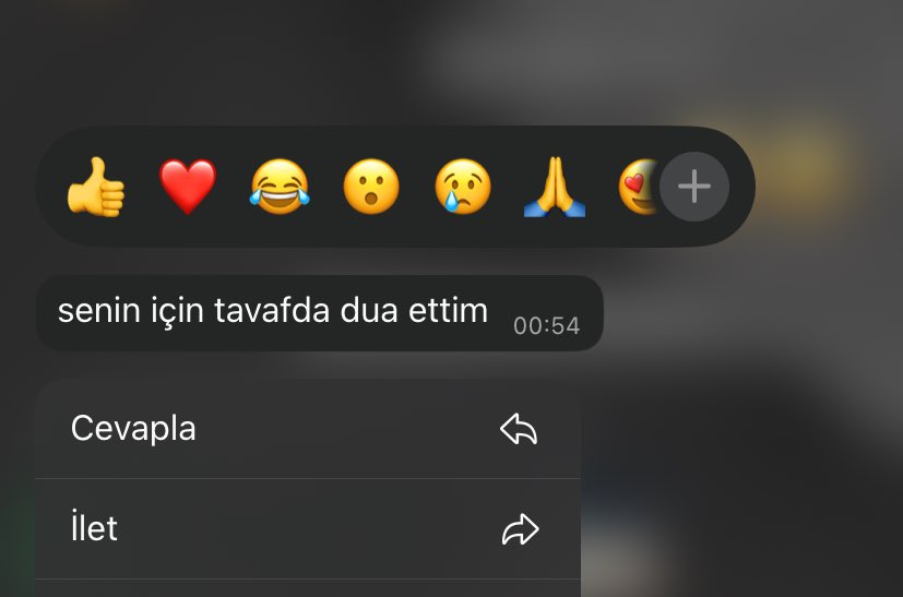 bir yeni mesaj.. ağlıcam..